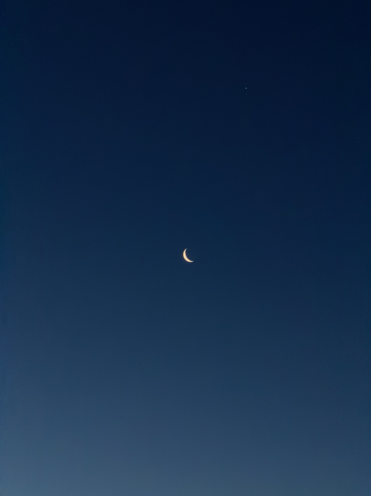 A small subject set against a large area of negative space, making the subject feel intentional and isolated